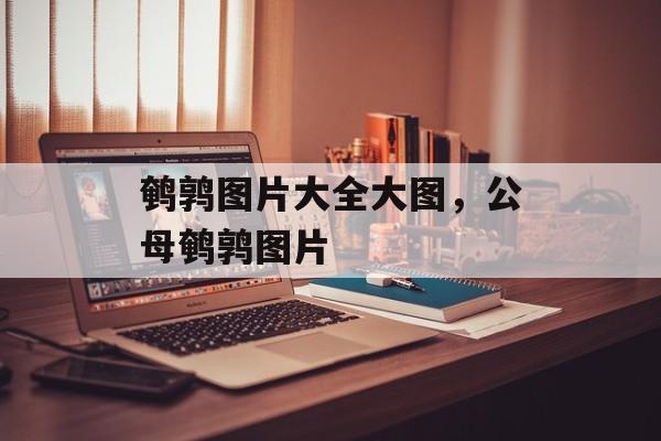 鹌鹑图片大全大图，公母鹌鹑图片-第1张图片-