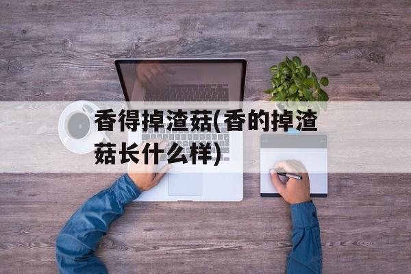 香得掉渣菇(香的掉渣菇长什么样)-第1张图片-