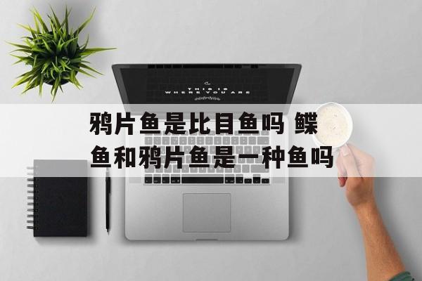 鸦片鱼是比目鱼吗 鲽鱼和鸦片鱼是一种鱼吗-第1张图片-
