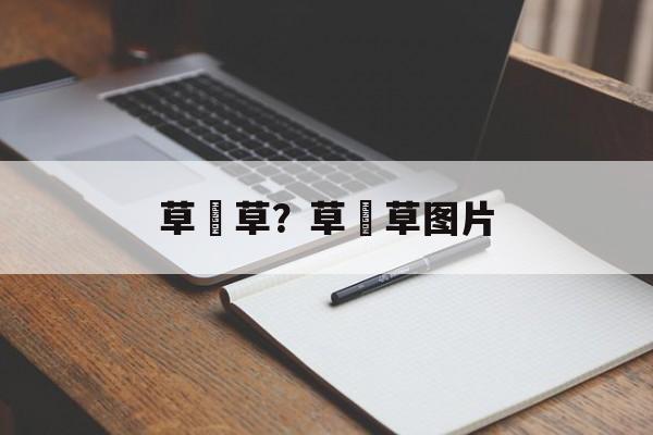 草粿草？草粿草图片-第1张图片-