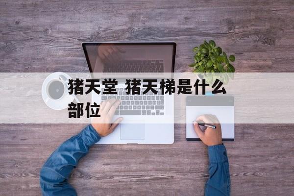 猪天堂 猪天梯是什么部位-第1张图片-