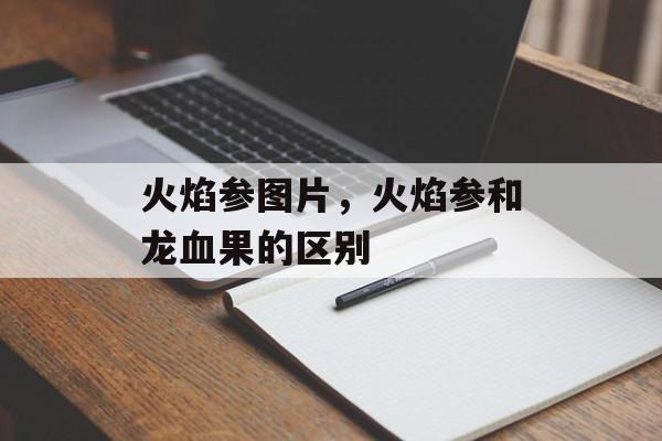 火焰参图片，火焰参和龙血果的区别-第1张图片-
