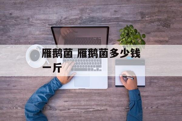 雁鹅菌 雁鹅菌多少钱一斤-第1张图片-