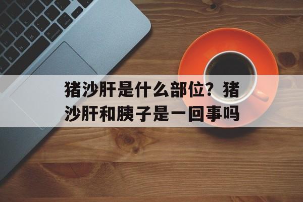 猪沙肝是什么部位？猪沙肝和胰子是一回事吗-第1张图片-