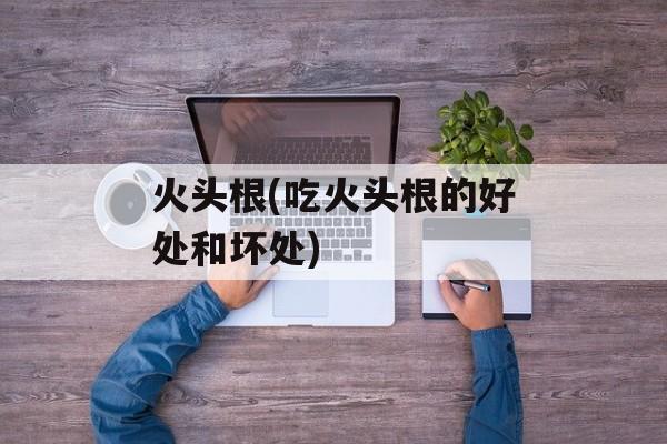 火头根(吃火头根的好处和坏处)-第1张图片-