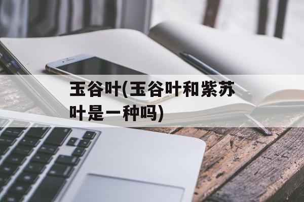 玉谷叶(玉谷叶和紫苏叶是一种吗)-第1张图片-