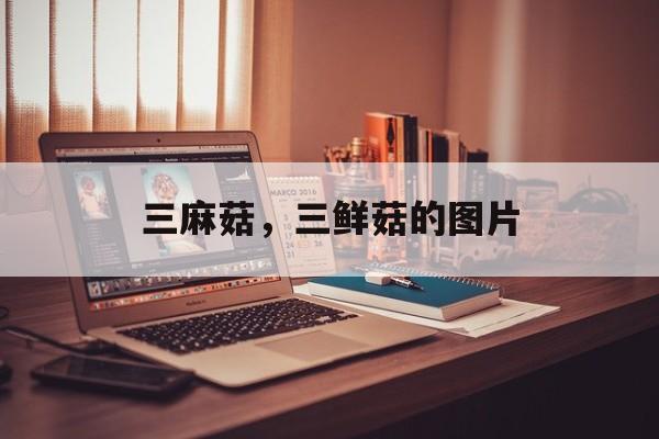 三麻菇，三鲜菇的图片-第1张图片-