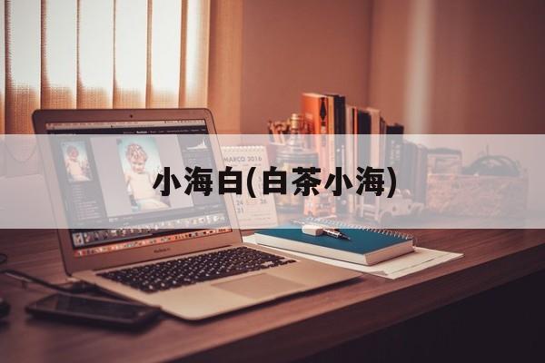 小海白(白茶小海)-第1张图片-