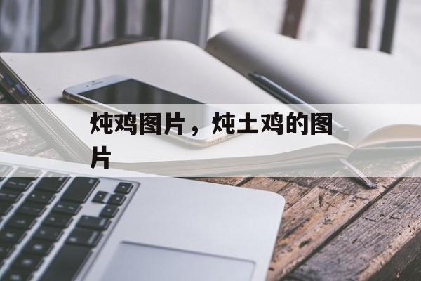炖鸡图片，炖土鸡的图片-第1张图片-