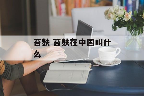苔麸 苔麸在中国叫什么-第1张图片-