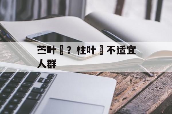 苎叶粄？柱叶粄不适宜人群-第1张图片-