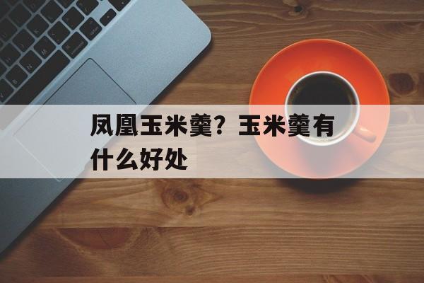 凤凰玉米羹？玉米羹有什么好处-第1张图片-