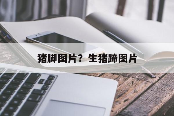 猪脚图片？生猪蹄图片-第1张图片-