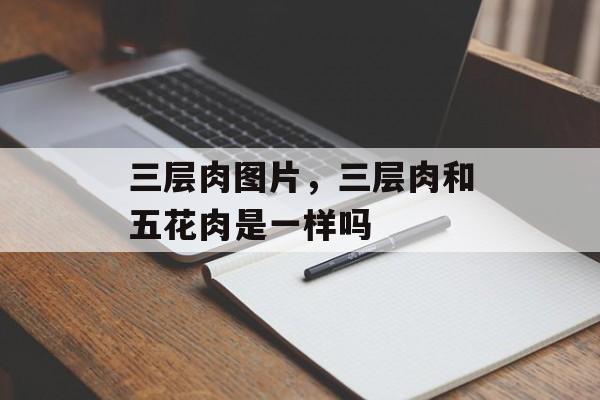 三层肉图片，三层肉和五花肉是一样吗-第1张图片-