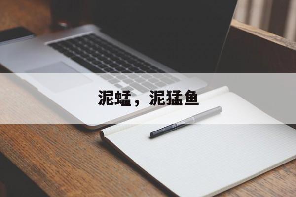 泥蜢，泥猛鱼-第1张图片-