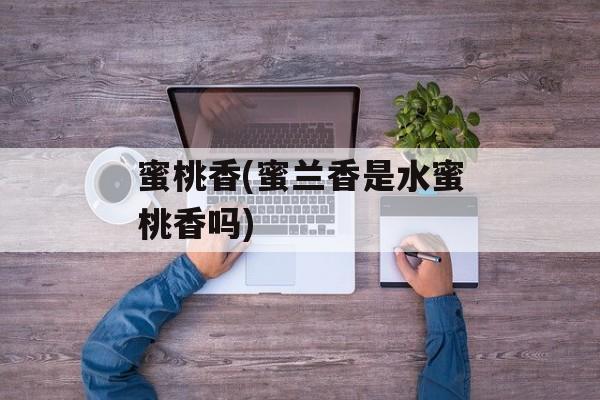 蜜桃香(蜜兰香是水蜜桃香吗)-第1张图片-