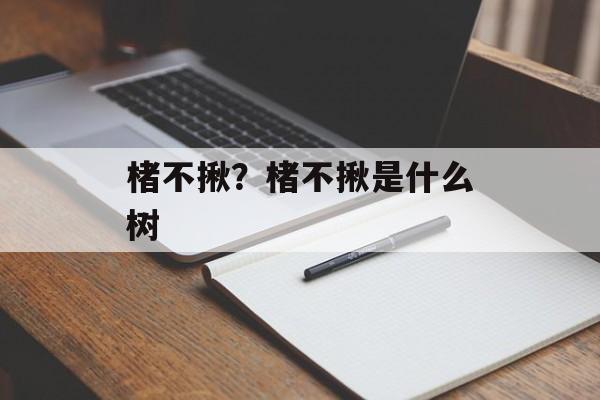 楮不揪？楮不揪是什么树-第1张图片-