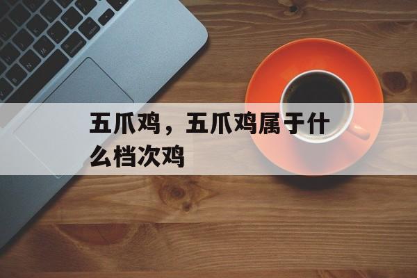 五爪鸡，五爪鸡属于什么档次鸡-第1张图片-