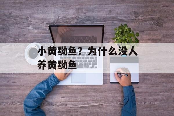 小黄黝鱼？为什么没人养黄黝鱼-第1张图片-