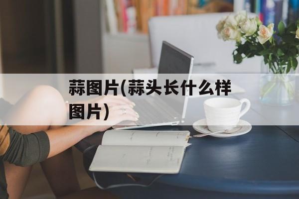 蒜图片(蒜头长什么样图片)-第1张图片-