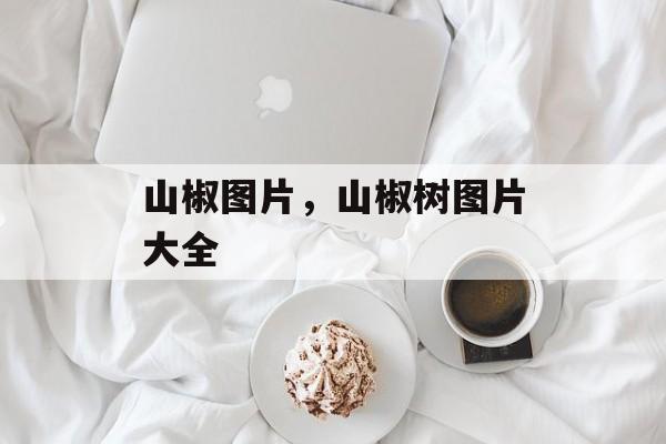 山椒图片，山椒树图片大全-第1张图片-