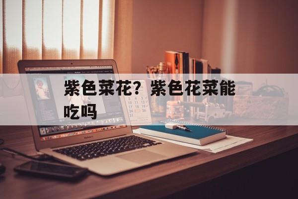 紫色菜花？紫色花菜能吃吗-第1张图片-