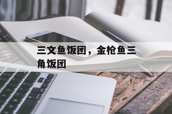 三文鱼饭团，金枪鱼三角饭团-第1张图片-