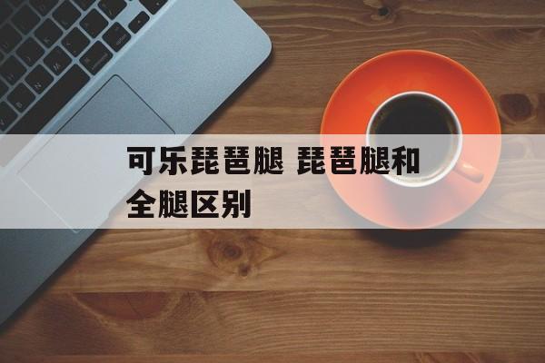 可乐琵琶腿 琵琶腿和全腿区别-第1张图片-