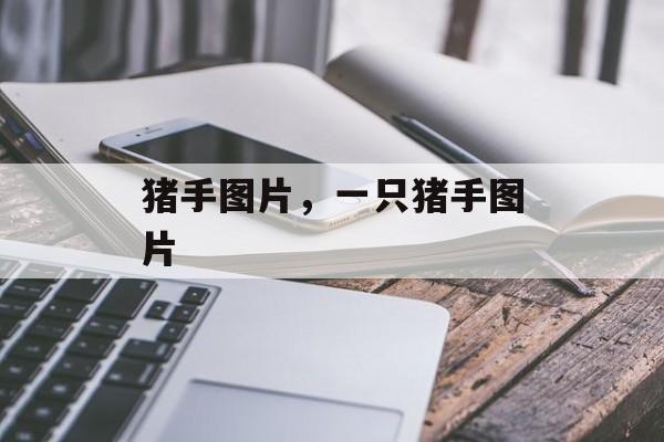 猪手图片，一只猪手图片-第1张图片-