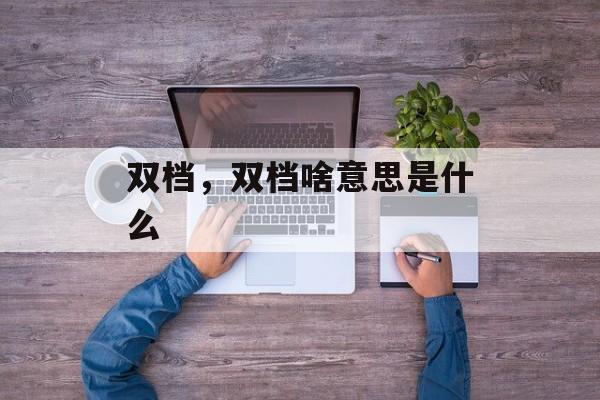 双档，双档啥意思是什么-第1张图片-