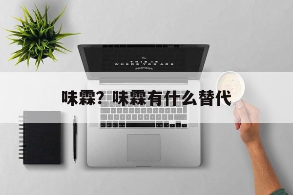 味霖？味霖有什么替代-第1张图片-