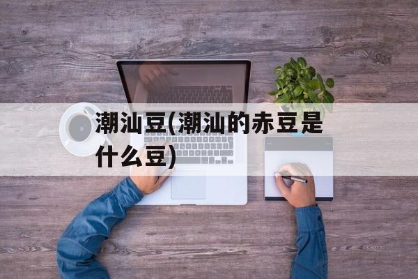 潮汕豆(潮汕的赤豆是什么豆)-第1张图片-