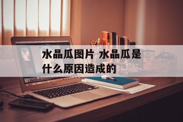 水晶瓜图片 水晶瓜是什么原因造成的-第1张图片-