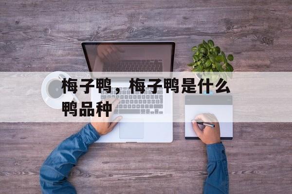 梅子鸭，梅子鸭是什么鸭品种-第1张图片-