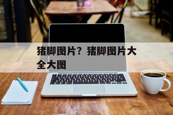 猪脚图片？猪脚图片大全大图-第1张图片-