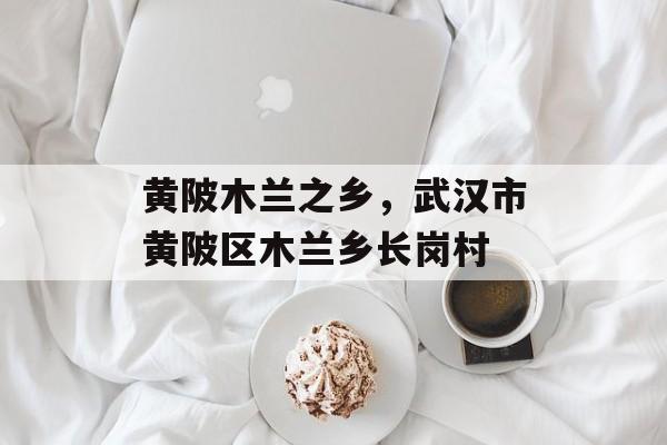 黄陂木兰之乡，武汉市黄陂区木兰乡长岗村-第1张图片-