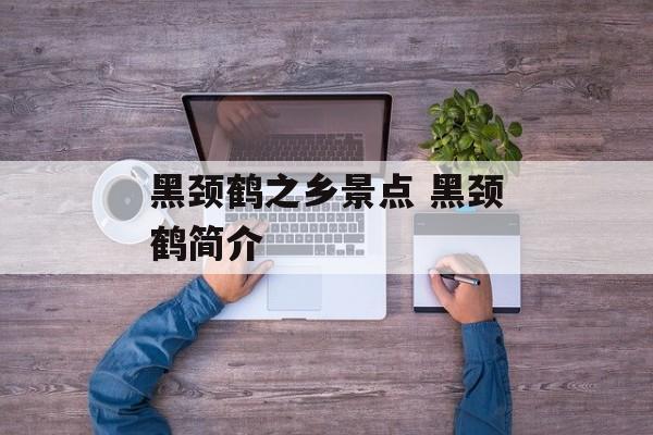 黑颈鹤之乡景点 黑颈鹤简介-第1张图片-