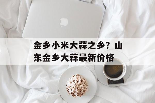 金乡小米大蒜之乡？山东金乡大蒜最新价格-第1张图片-