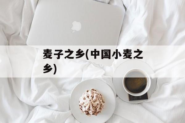麦子之乡(中国小麦之乡)-第1张图片-