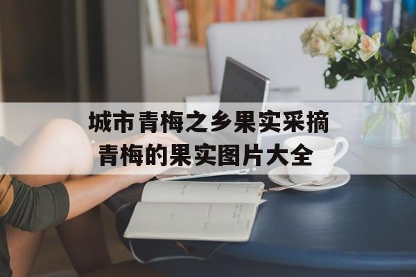 城市青梅之乡果实采摘 青梅的果实图片大全-第1张图片-