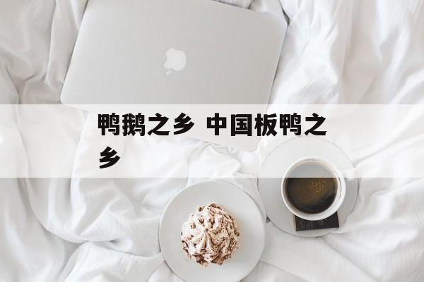 鸭鹅之乡 中国板鸭之乡-第1张图片-