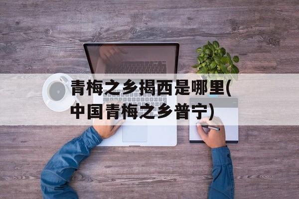 青梅之乡揭西是哪里(中国青梅之乡普宁)-第1张图片-