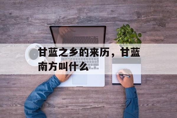 甘蓝之乡的来历，甘蓝南方叫什么-第1张图片-