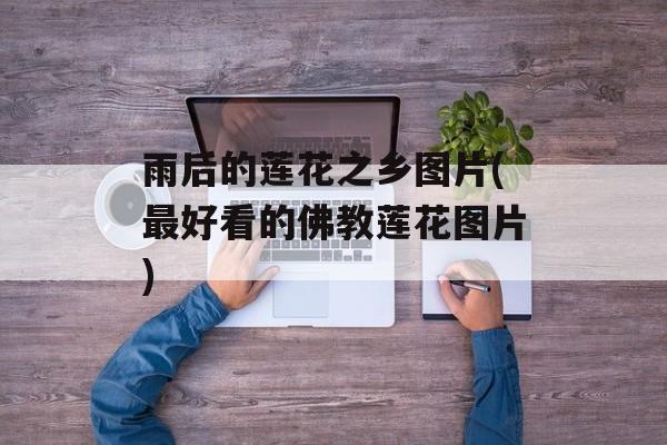 雨后的莲花之乡图片(最好看的佛教莲花图片)-第1张图片-