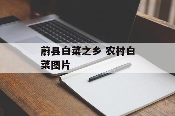蔚县白菜之乡 农村白菜图片-第1张图片-