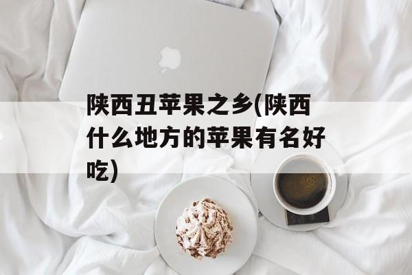 陕西丑苹果之乡(陕西什么地方的苹果有名好吃)-第1张图片-