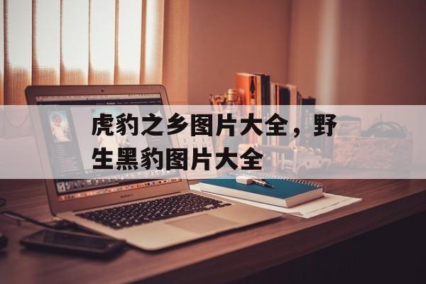 虎豹之乡图片大全，野生黑豹图片大全-第1张图片-