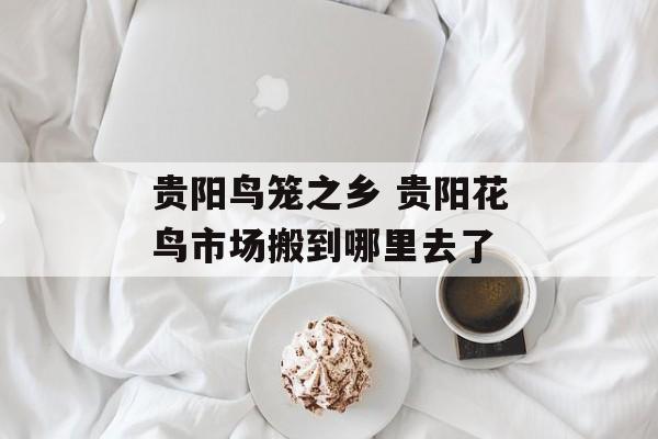 贵阳鸟笼之乡 贵阳花鸟市场搬到哪里去了-第1张图片-