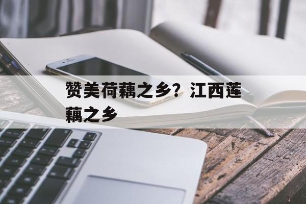 赞美荷藕之乡？江西莲藕之乡-第1张图片-