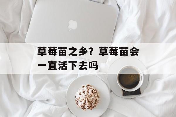草莓苗之乡？草莓苗会一直活下去吗-第1张图片-